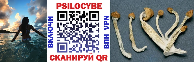 Галлюциногенные грибы MAGIC MUSHROOMS  omg зеркало  Чёрмоз  что такое  